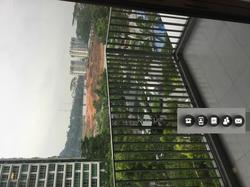Eco Sanctuary (D23), Condominium #131364642
